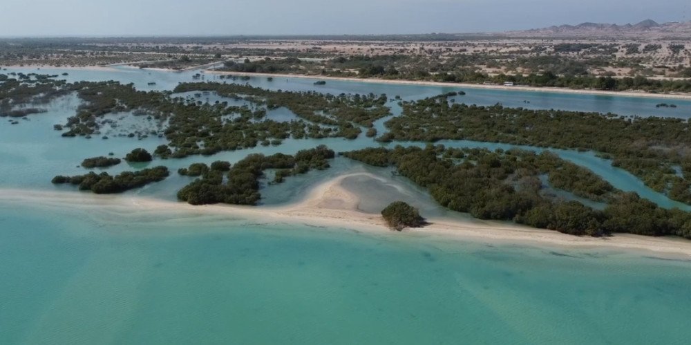 Arabian Wildlife Park Abu Dhabi – Nature & Wildlife Experience