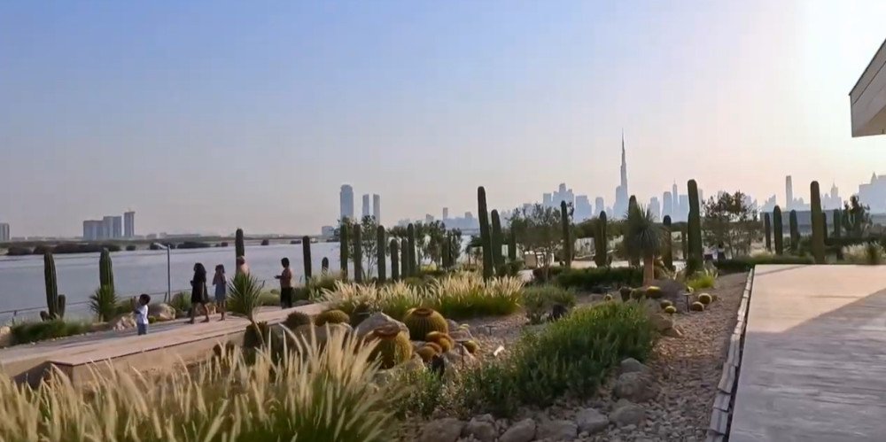 Cactus Park Al Jaddaf – Green Escape in the City