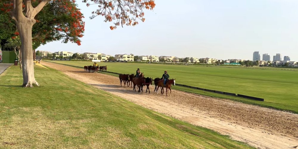 Dubai Polo & Equestrian Club – Luxury Lifestyle, Sports & Dining