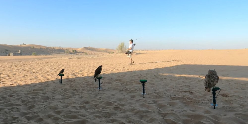 Falconry Experience in Dubai Desert – A Unique Arabian Tradition