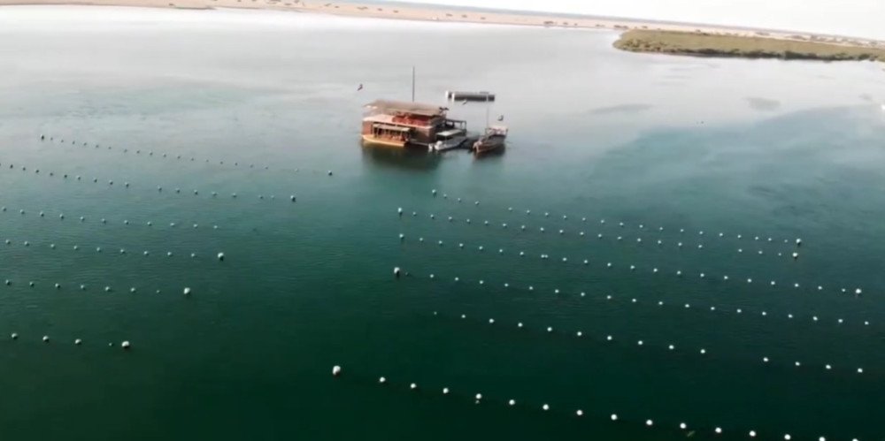 Discover Suwaidi Pearls in Ras Al Khaimah