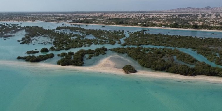 Arabian Wildlife Park Abu Dhabi – Nature & Wildlife Experience