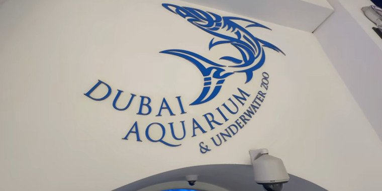 Dubai Aquarium and Underwater Zoo – Marine Adventure
