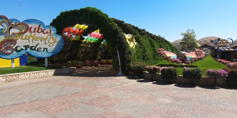 Dubai Butterfly Garden: A Colorful Paradise for Nature Lovers
