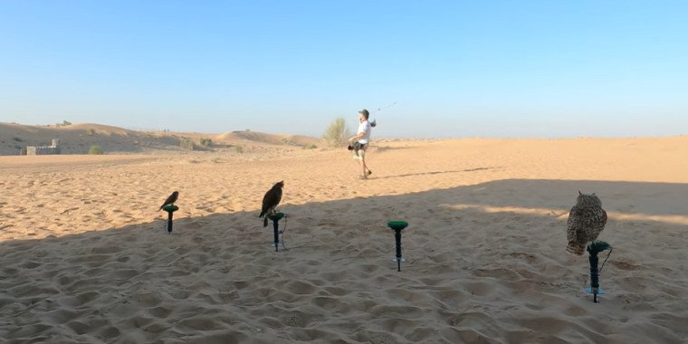 Falconry Experience in Dubai Desert – A Unique Arabian Tradition