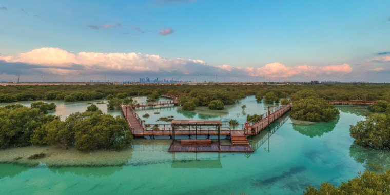 Mangrove National Park Abu Dhabi – Nature & Eco Tourism