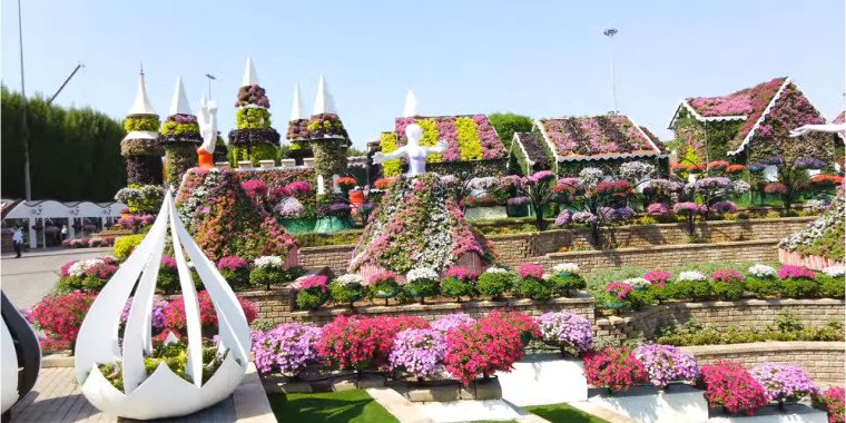 A Complete Guide to Dubai Miracle Garden: A Floral Wonderland