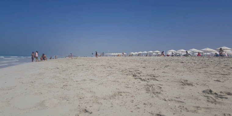 Abu Dhabi 2025`s Saadiyat Public Beach: Unwind & Relax