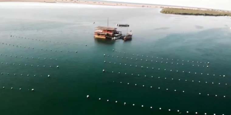 Discover Suwaidi Pearls in Ras Al Khaimah