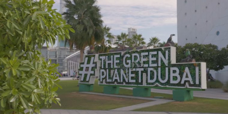 The Green Planet Dubai – Explore the City’s Indoor Rainforest Adventure