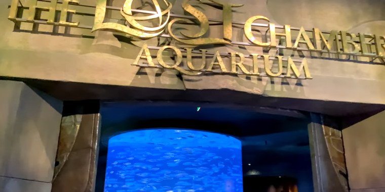 The Lost Chambers Aquarium – Underwater Adventure in Dubai