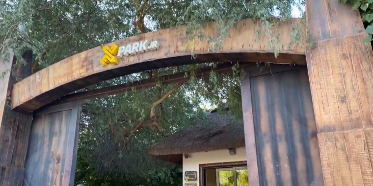 XPark Jr: Nature-Fueled Playdate Near Kite Beach